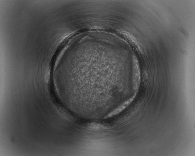 X0000116810596200912311957