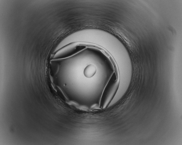 X0000116810597200912311957