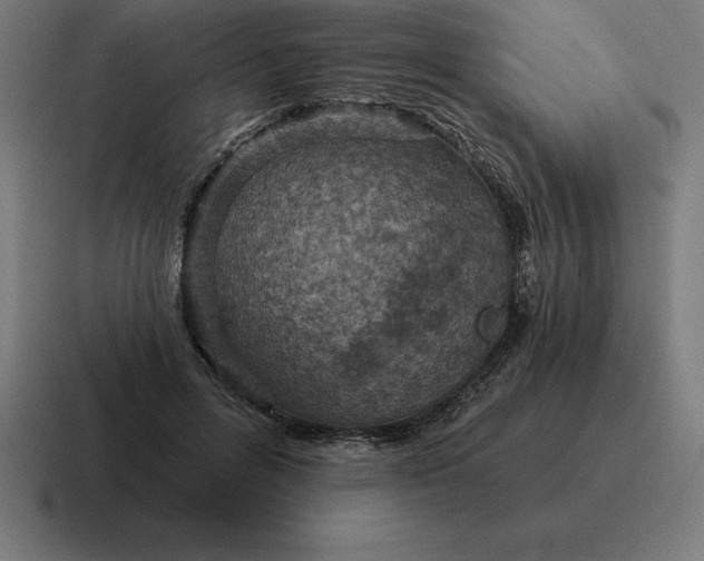 X0000116810600200912311957