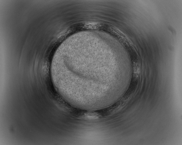 X0000116810603200912311957