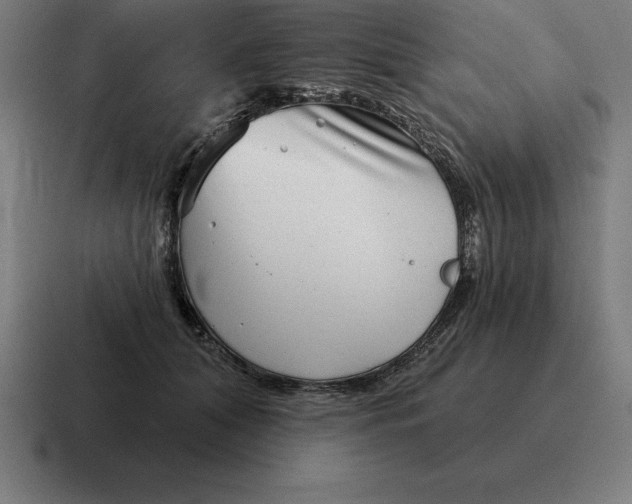 X0000116810608200912311957