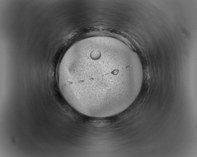 X0000116810615200912311957