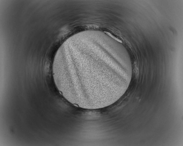 X0000116810619200912311957