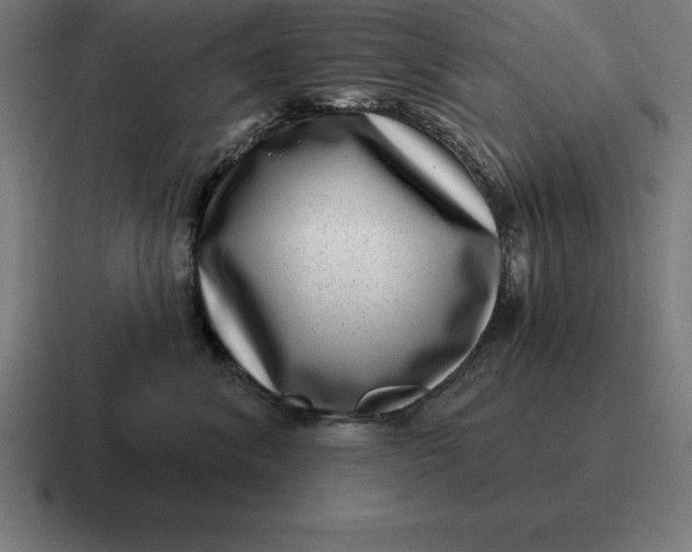 X0000116810620200912311957