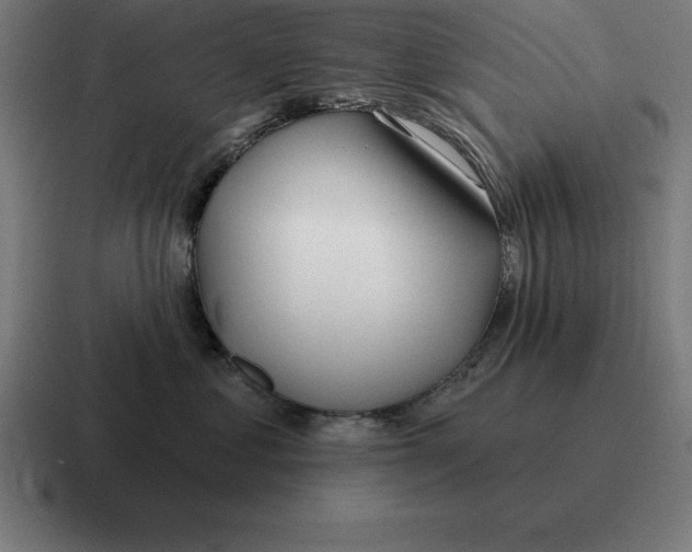 X0000116810621200912311957