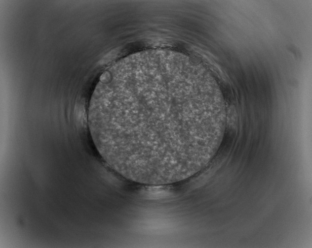 X0000116810622200912311957