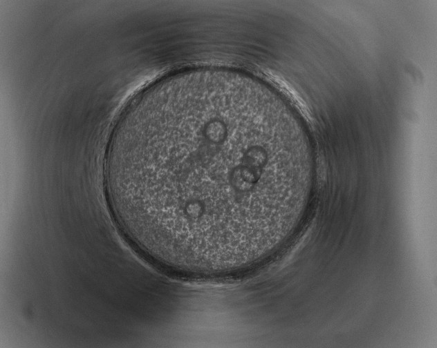 X0000116810625200912311956