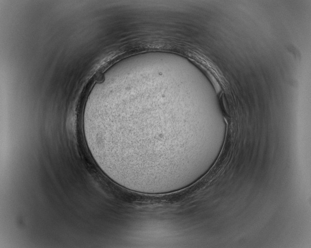 X0000116810626200912311956