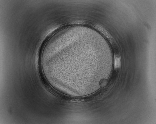 X0000116810627200912311956