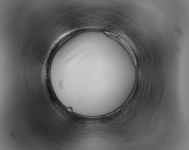 X0000116810628200912311956