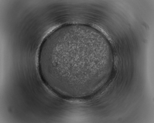 X0000116810629200912311956