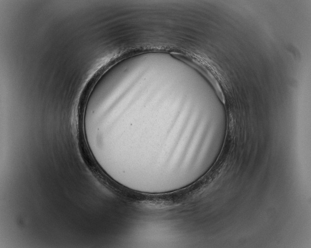 X0000116810630200912311956