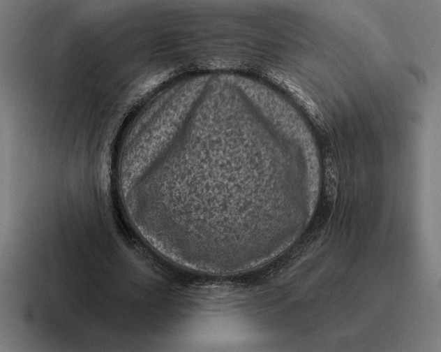 X0000116810631200912311956