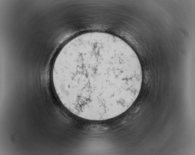 X0000116810632200912311956