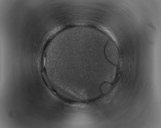 X0000116810633200912311956