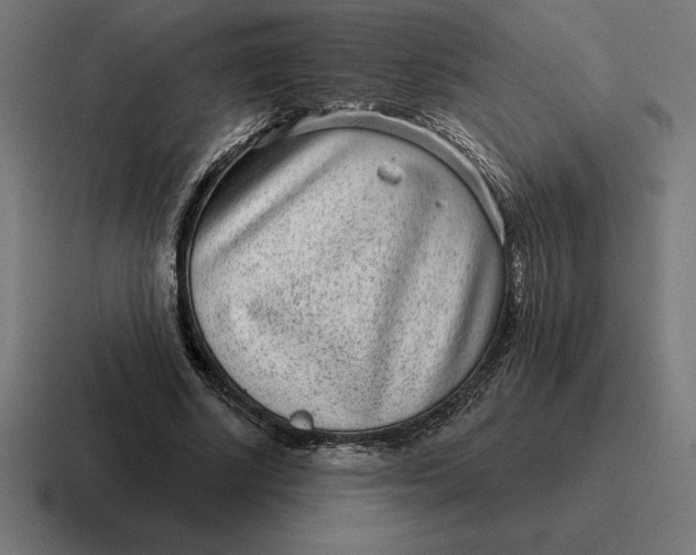 X0000116810634200912311956