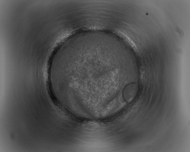 X0000116810635200912311956