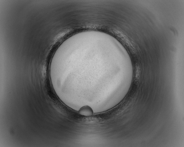 X0000116810636200912311956