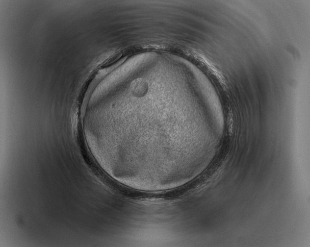 X0000116810637200912311956