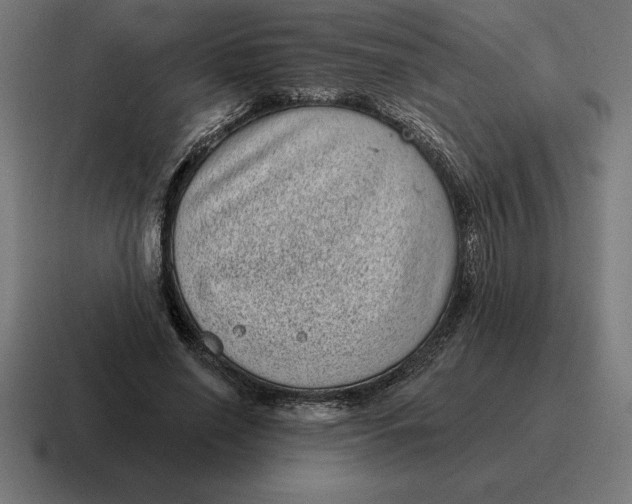 X0000116810638200912311956