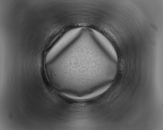 X0000116810639200912311956