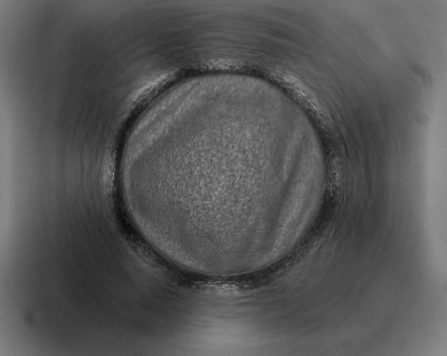 X0000116810640200912311956