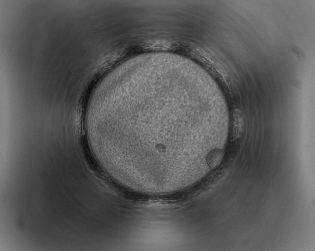 X0000116810641200912311956