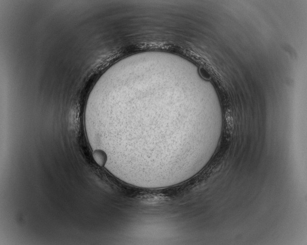 X0000116810642200912311956