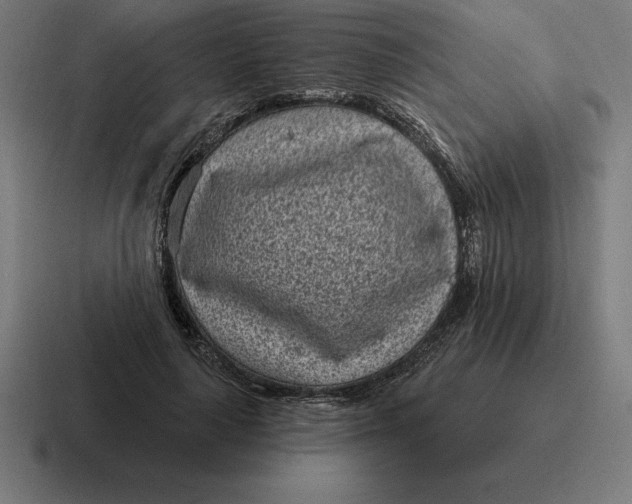 X0000116810643200912311956