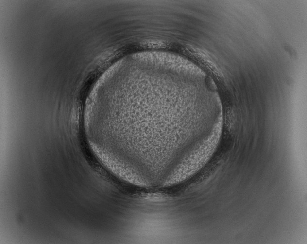 X0000116810645200912311956