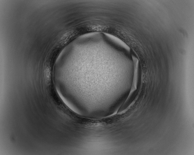 X0000116810646200912311956