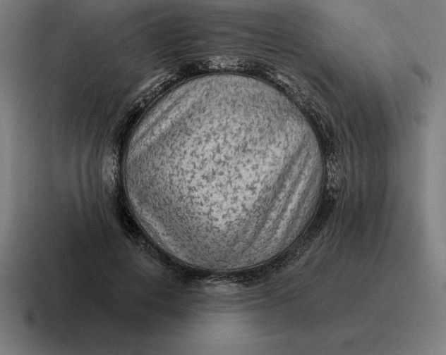 X0000116810648200912311956