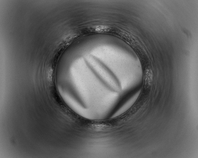 X0000116810650200912311957