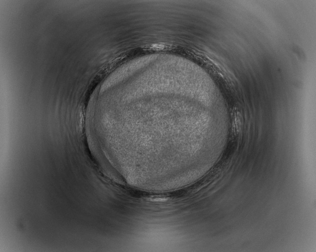 X0000116810651200912311957