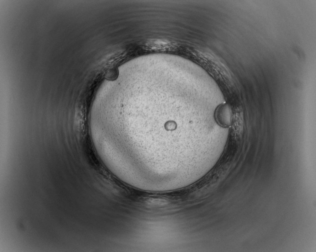 X0000116810653200912311957