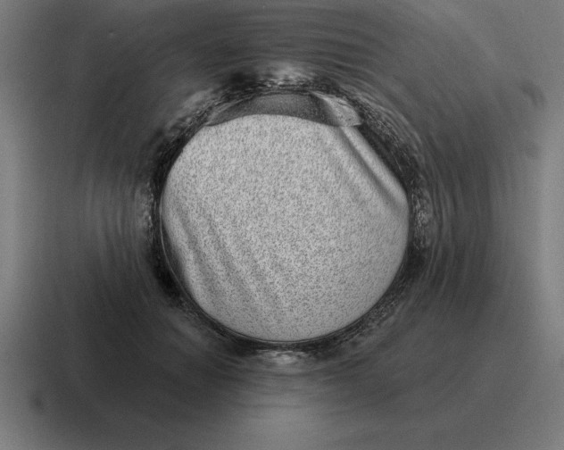 X0000116810654200912311957