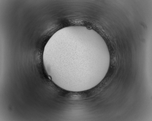 X0000116810658200912311957