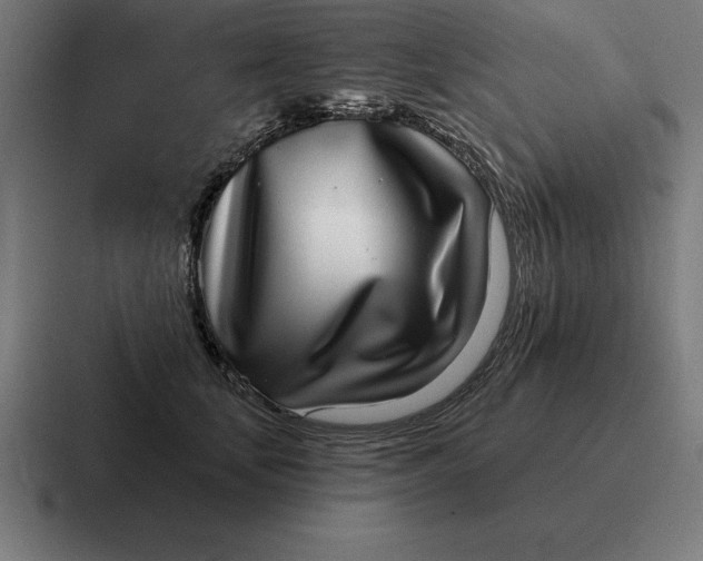 X0000116810659200912311957