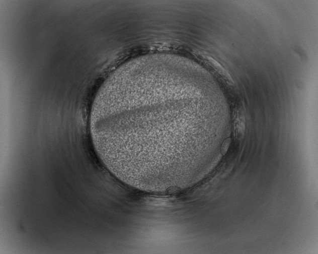 X0000116810661200912311957