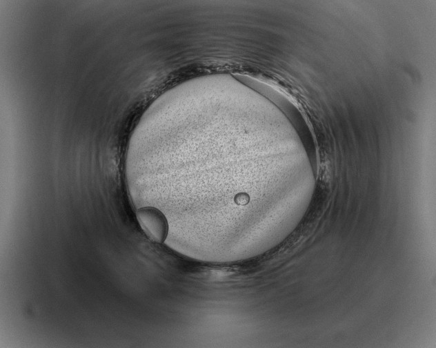 X0000116810662200912311957