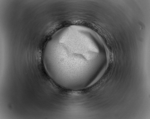 X0000116810664200912311957