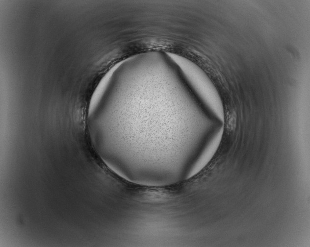 X0000116810666200912311957