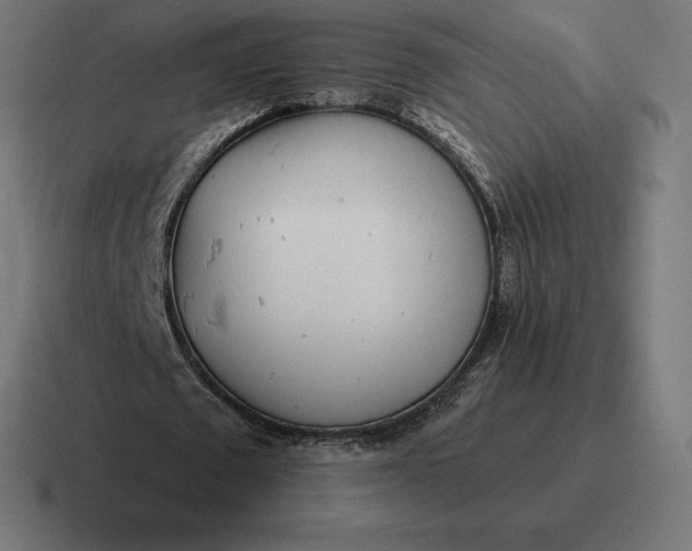 X0000116810673200912311956