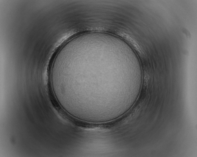 X0000116810674200912311956