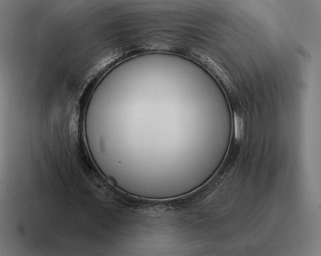 X0000116810675200912311956