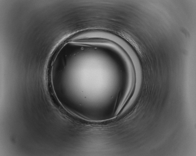 X0000116810676200912311956