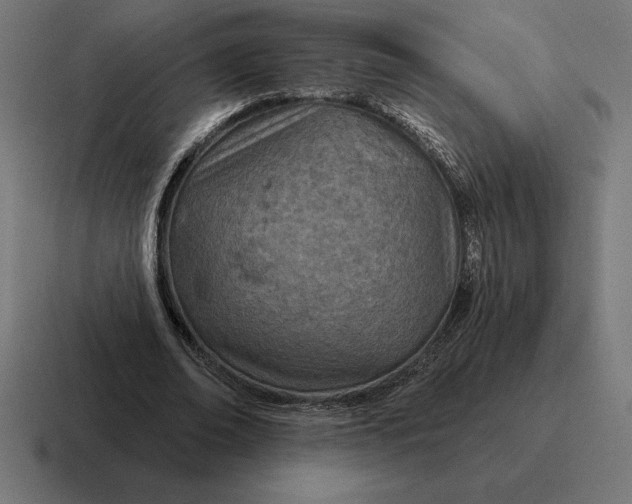 X0000116810678200912311956