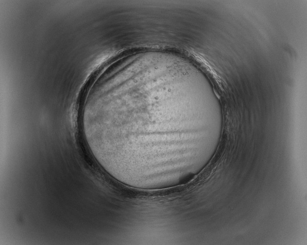 X0000116810679200912311956