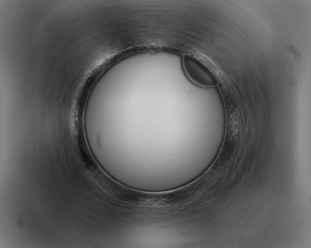 X0000116810680200912311956