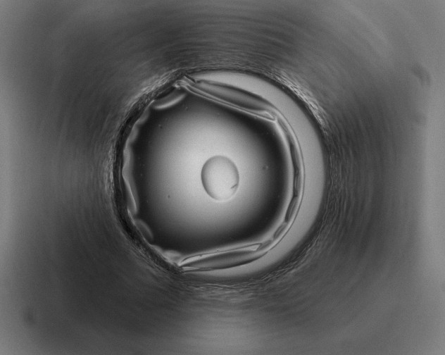 X0000116810681200912311956